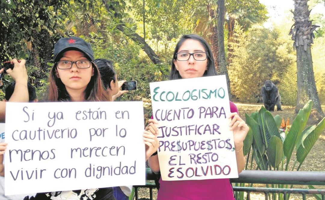 Entérate. Las muertes de animales en zoos de la CDMX