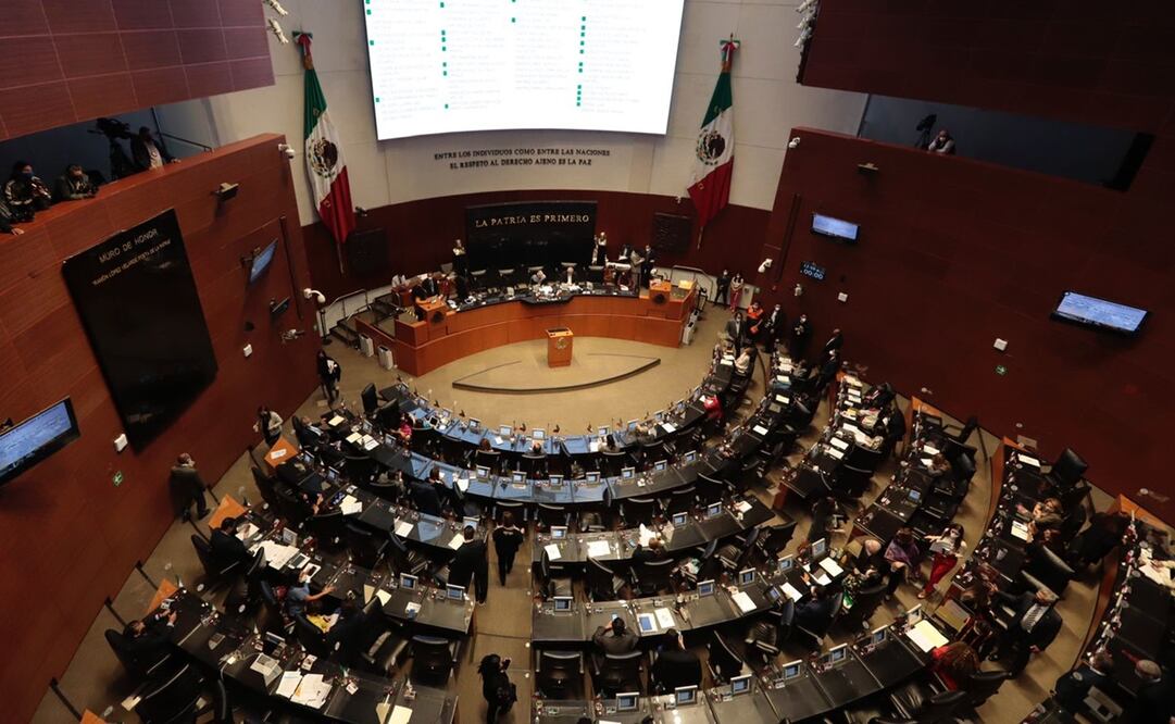 Foto: Berenice Fregoso / EL UNIVERSAL