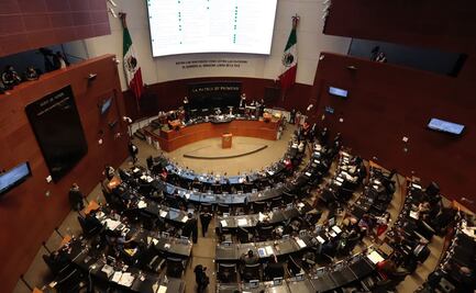 Senado aprueba incorporar municipios al Consejo Nacional de Seguridad Pública