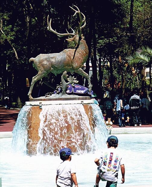 Parques en la CDMX que puedes visitar este día