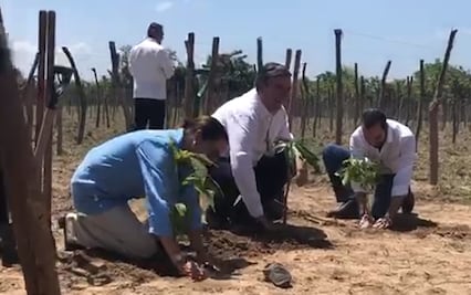 Están México y El Salvador “Sembrando Vida”