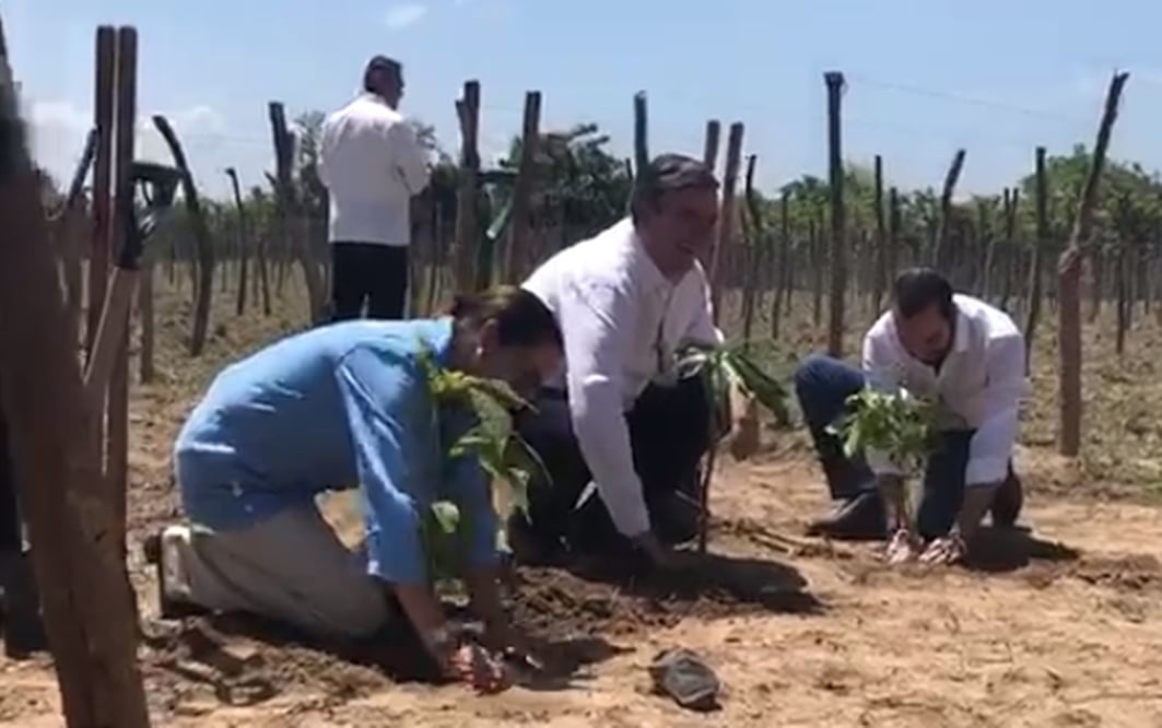 Foto: tomada de video