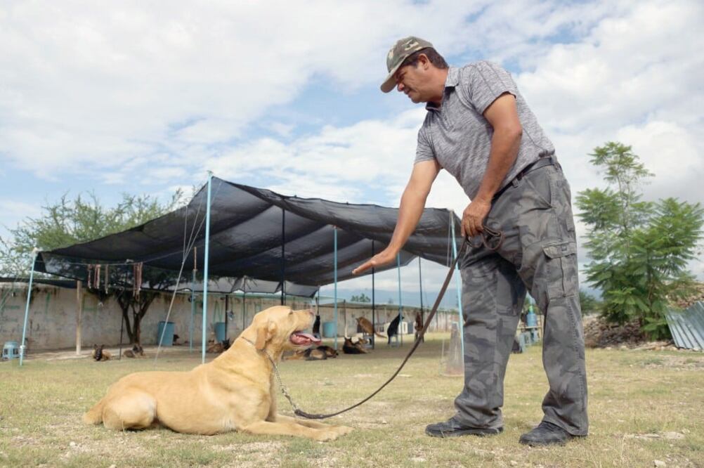 Julio César ha entrenado a unos mil 500 perros de diversas razas y también mestizos desde 1985; su motivación es el amor a esta especie. (Fotos: EDWIN HERNÁNDEZ) 