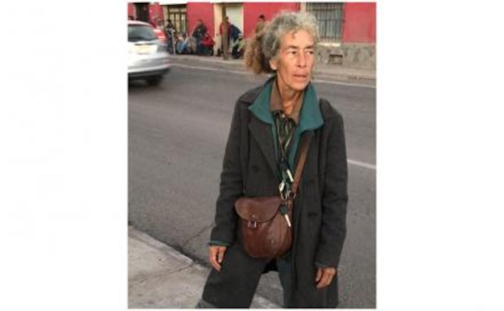 Recorre Latinoamérica en su camioneta con sus 3 gatos y 4 perros