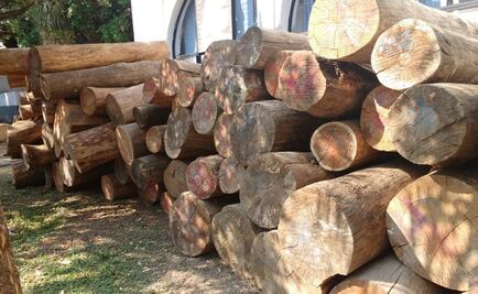 Decomisan madera en centro de almacenamiento irregular en Morelos