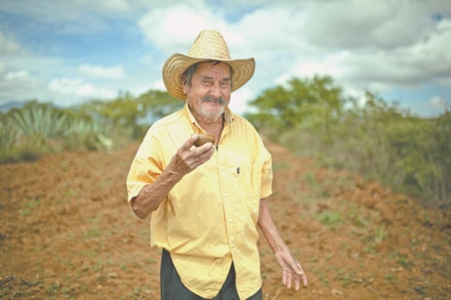 “Pasamos meses sin vender ni un litro de mezcal”