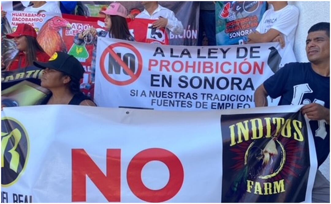 Este 24 de septiembre de 2024, galleros y jinetes protestan contra la Ley de Protección Animal frente al Congreso de Sonora. Foto: Amalia Escobar / EL UNIVERSAL