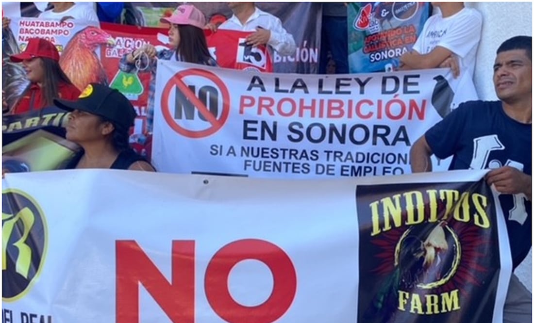 Este 24 de septiembre de 2024, galleros y jinetes protestan contra la Ley de Protección Animal frente al Congreso de Sonora. Foto: Amalia Escobar / EL UNIVERSAL