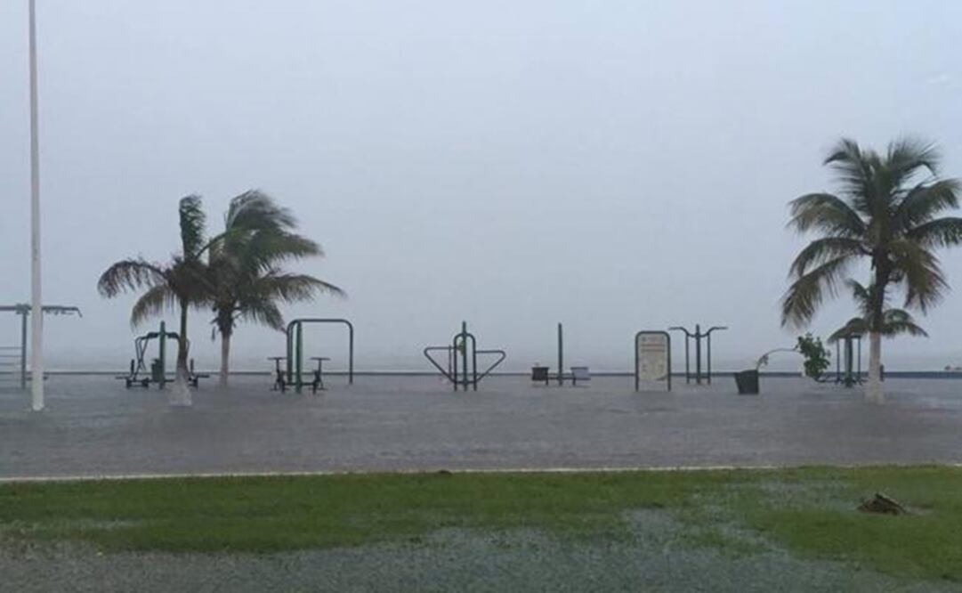 Photo: Joel Ynurreta/EL UNIVERSAL