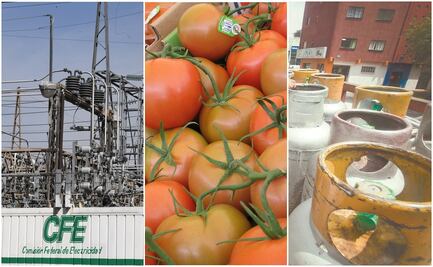 Carestía en alimentos, principal motor de la inflación: Inegi