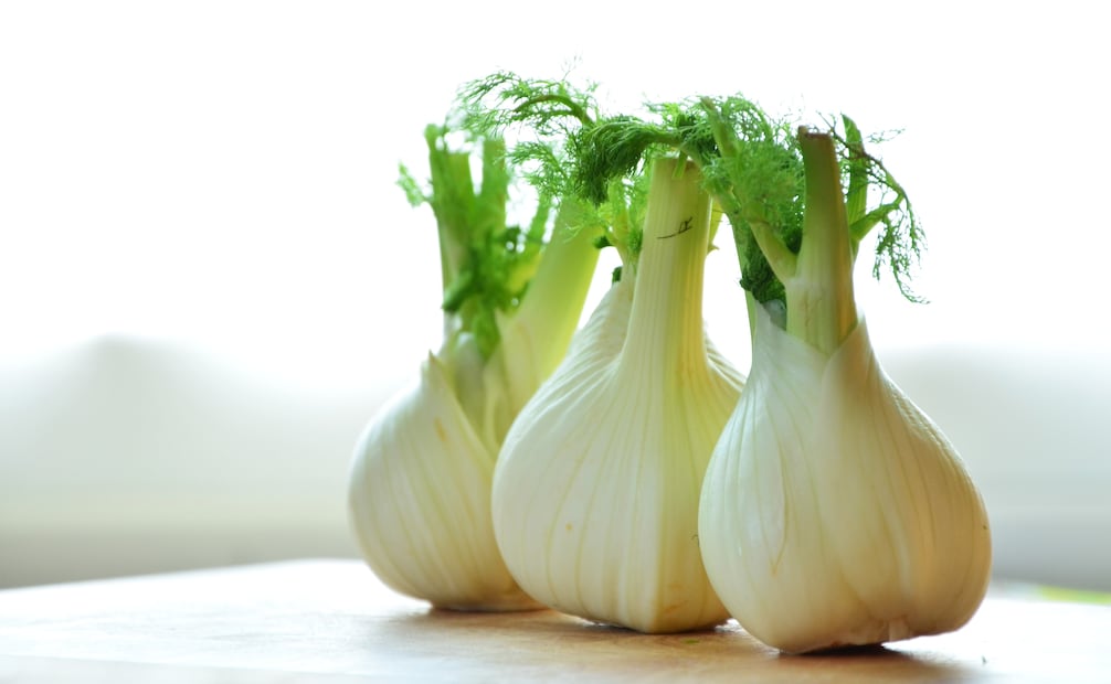 El hinojo es un antioxidante natural, que reduce la retención de líquidos de manera indirecta. Foto: Pixabay