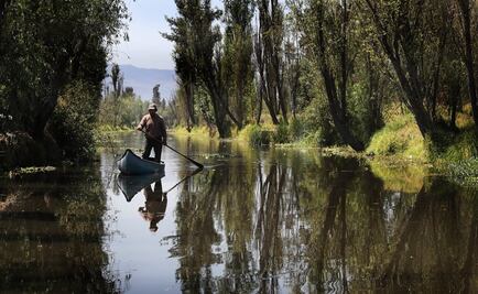 UNESCO impulsa identidad de México en redes