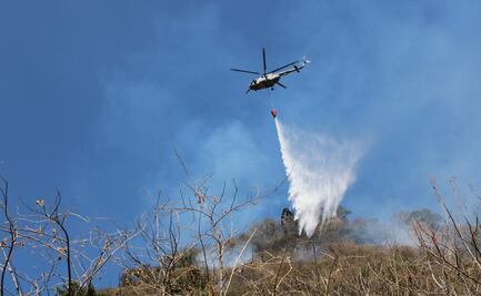Controlan al 100% incendio en el cerro del Tepozteco; acabó con 105 hectáreas de pino y selva