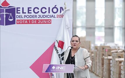 INE solo revisará perfiles de candidaturas dentro de su competencia: Taddei; es responsabilidad del Senado, dice
