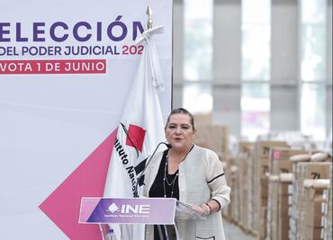 INE solo revisará perfiles de candidaturas dentro de su competencia: Taddei; es responsabilidad del Senado, dice