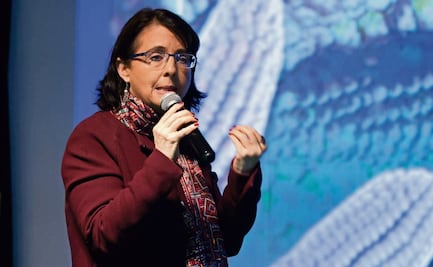 Álvarez-Buylla omitió declarar construcción de casa-estudio para su hija