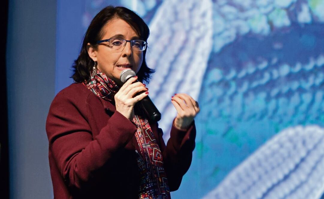 La exdirectora de Conahcyt otorgó un contrato directo al mismo despacho que diseñó la casa.  Foto: Carlos Mejía / EL UNIVERSAL