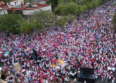 Marea Rosa en Mérida, una de las movilizaciones más numerosas del país
