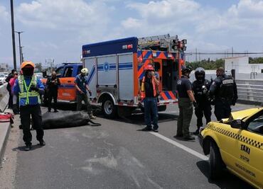 Toro muere tras ser atropellado en Querétaro