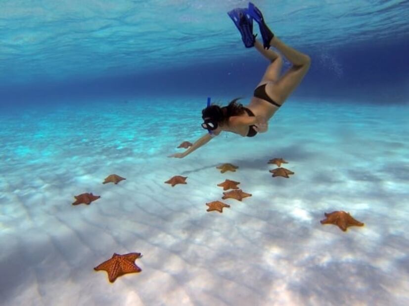 El Cielo, la playa de Cozumel donde habitan estrellas de mar