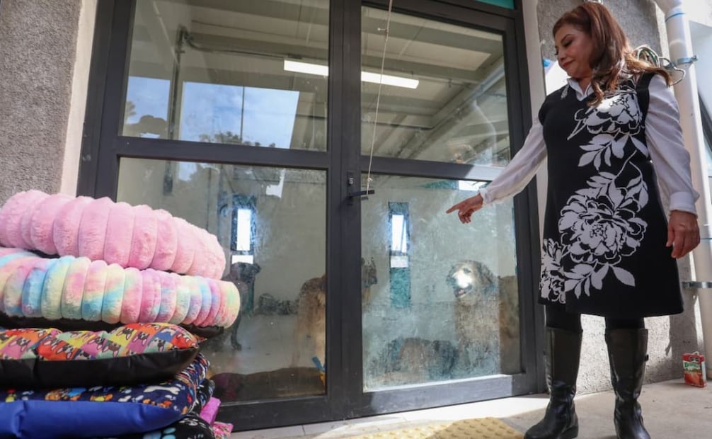 Clara Brugada encabeza el recorrido en el deportivo Hermanos Galeana en el espacio alterno para los caninos que fueron rescatados en el Refugio Franciscano.
Foto: Luis Camacho | El Universal