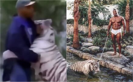 El motivo por el que Mike Tyson perdió a sus tigres de bengala