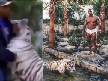 El motivo por el que Mike Tyson perdió a sus tigres de bengala