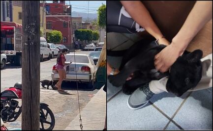 Captan a mujer paseando un puma bebé en Jalisco; Profepa lo rescata 