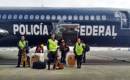 PF envía a 150 elementos a zonas afectadas por sismo