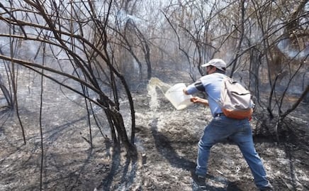Incendios forestales repuntan en Oaxaca; marzo y abril concentran la mayoría de los siniestros