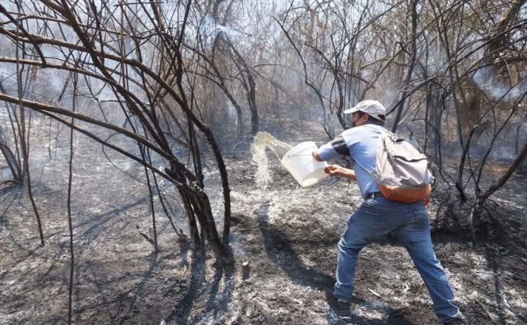 Registra Oaxaca 79 incendios forestales acumulados en 2025 y 8 mil 500 hectáreas afectadas. Foto: Edwin Hernández