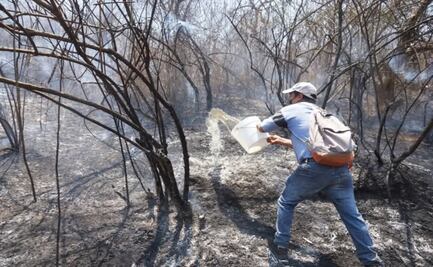 Incendios forestales repuntan en Oaxaca; marzo y abril concentran la mayoría de los siniestros