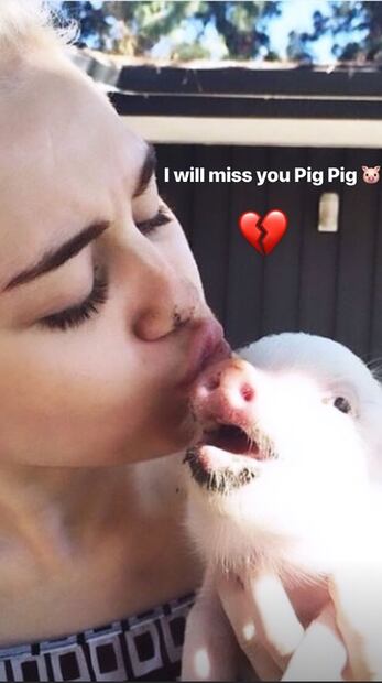 Miley Cyrus, triste por la muerte de su cerdita Pig Pig