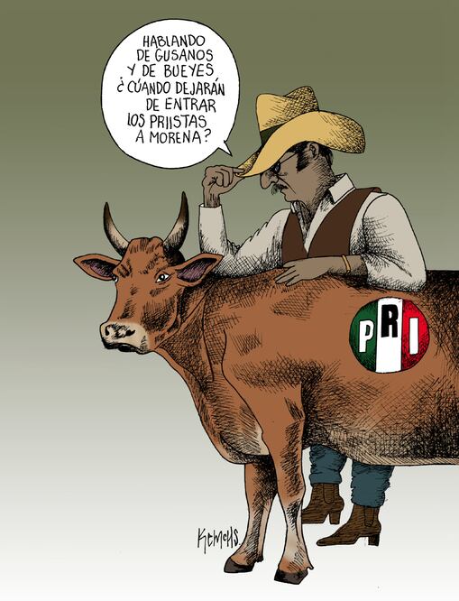 Cartón de KEMCHS