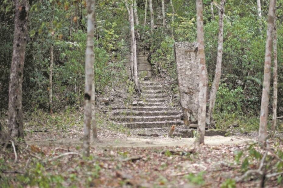 Sin beneficios, Tren Maya en selva protegida