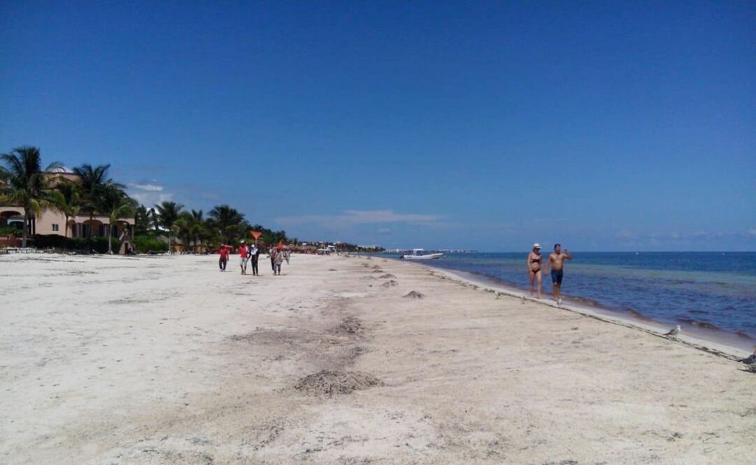 (FOTO: tomada de @LFpuertomorelos)