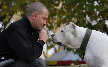 ¿Es apropiado un pitbull como mascota para un niño?