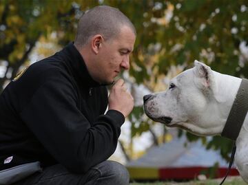 ¿Es apropiado un pitbull como mascota para un niño?