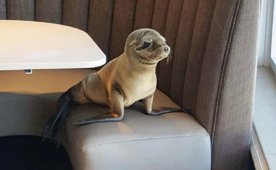 Tomada del Facebook de Bernard Guillas