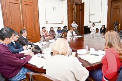 Pondrán lupa a elección de comisionados del InfoDF