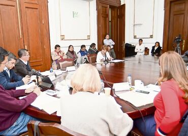 Pondrán lupa a elección de comisionados del InfoDF