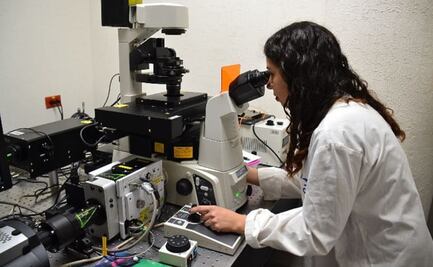 ¿Y el Premio Nacional de Ciencias?