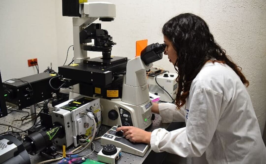 Foto: Archivo. El Universal