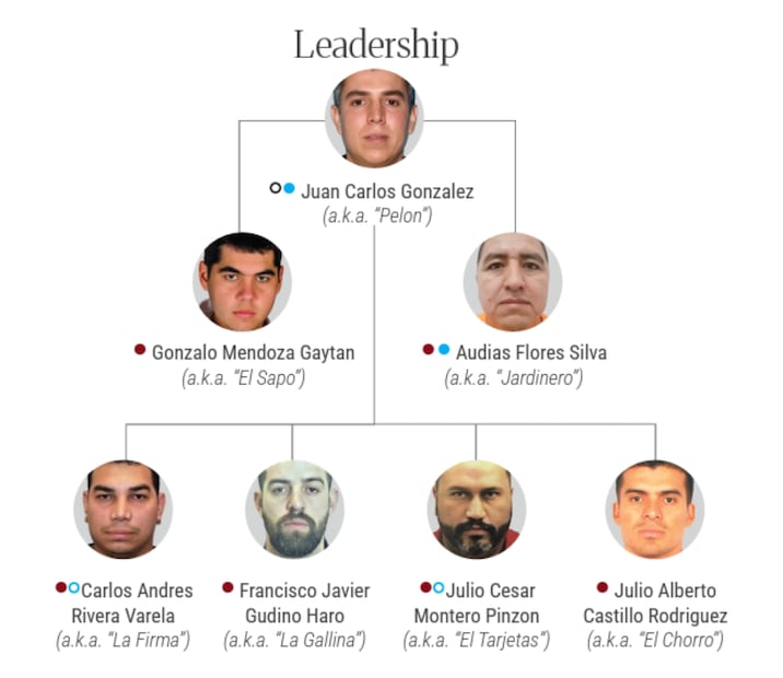 Estructura del Cártel Jalisco Nueva Generación (CJNG), después del abatimiento de Nemesio Oseguera Cervantes "El Mencho". Foto: Departamento del Tesoro de Estados Unidos