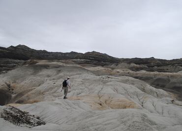 Restos fósiles del dinosaurio anquilosaurio sugieren cómo alcanzó los sitios más recónditos del hemisferio sur