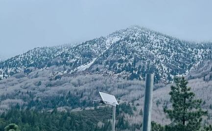 Caída de nieve sorprende a Nuevo León y Coahuila; Conagua prevé clima similar en otros tres estados
