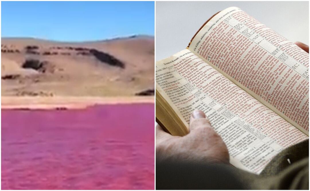 Río Nilo. Foto: Captura de pantalla