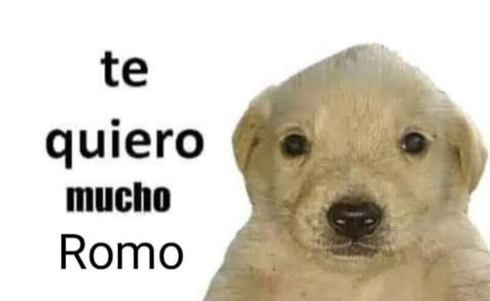 Los mejores MEMES del triunfo de Chivas ante Pachuca