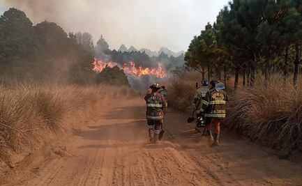 Mantienen labores contra incendio en zona baja del Nevado de Toluca
