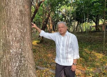 AMLO propondrá a Biden dar visas a campesinos del programa Sembrando Vida